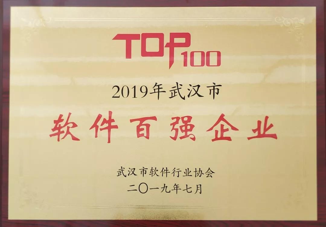 PG电子动力荣获2019年武汉市软件百强企业榜单第一名